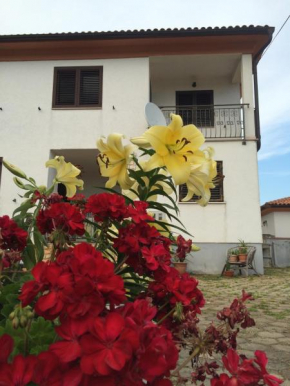 Отель Apartments Bodi  Ровинь